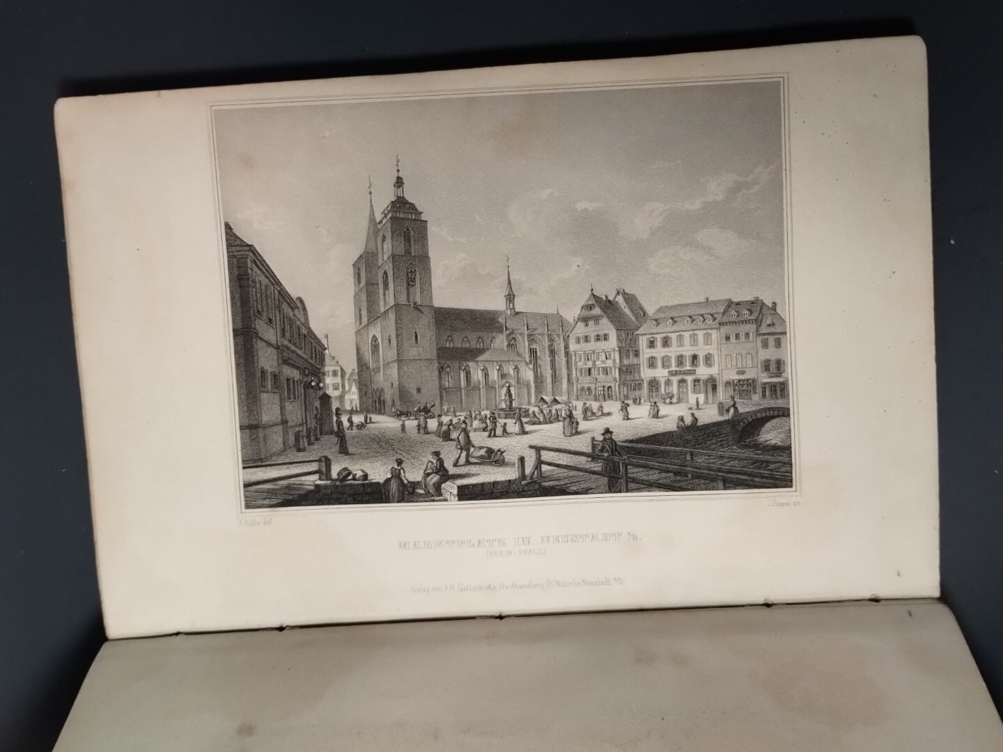 Palatinate At Rhine Rhein Pfalz Illus. Antique, Decorative Hardcover Book 1850’s