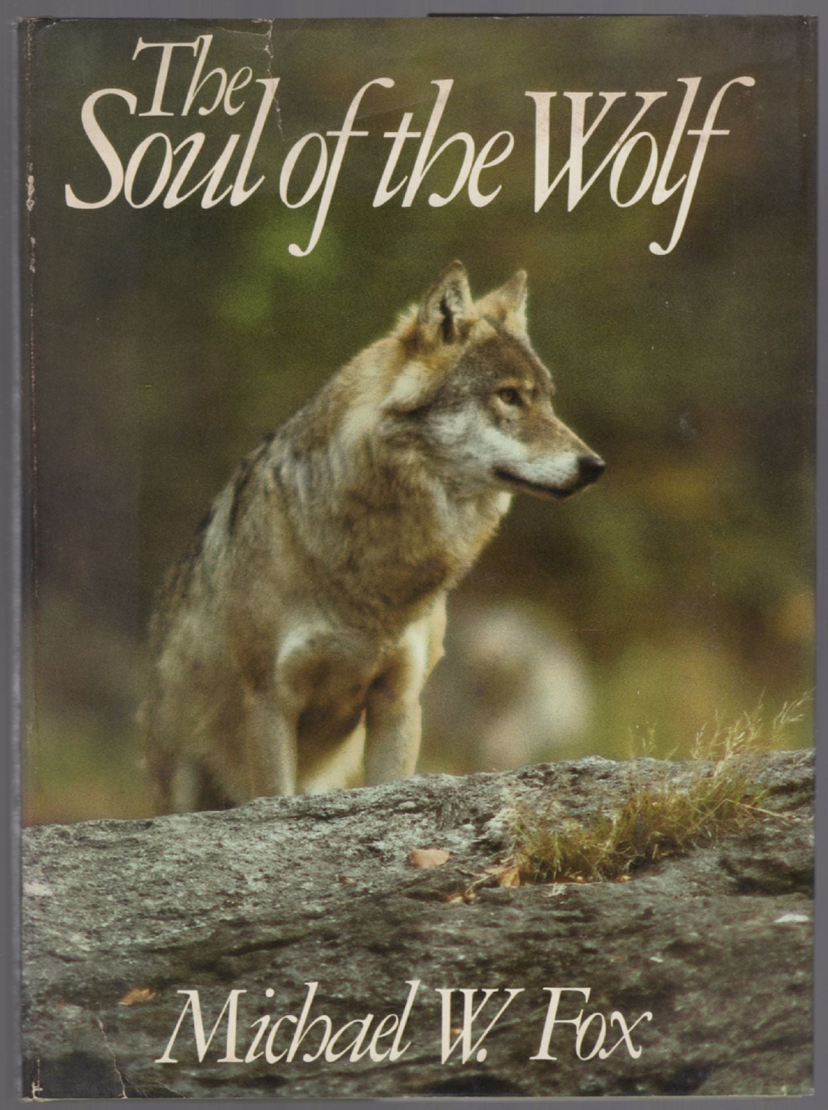 Michael W FOX / The Soul of the Wolf 1st Edition 1980