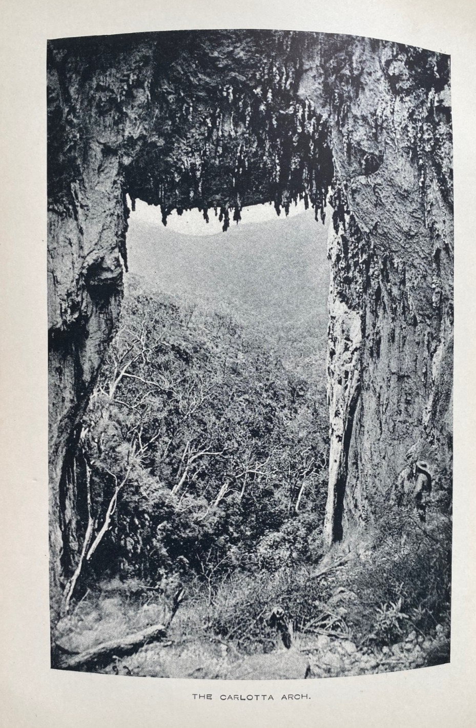 1889 1st THE JENOLAN CAVES by SAMUEL COOK w 24 FULL PAGE PLATES & MAP, FREE EXPR