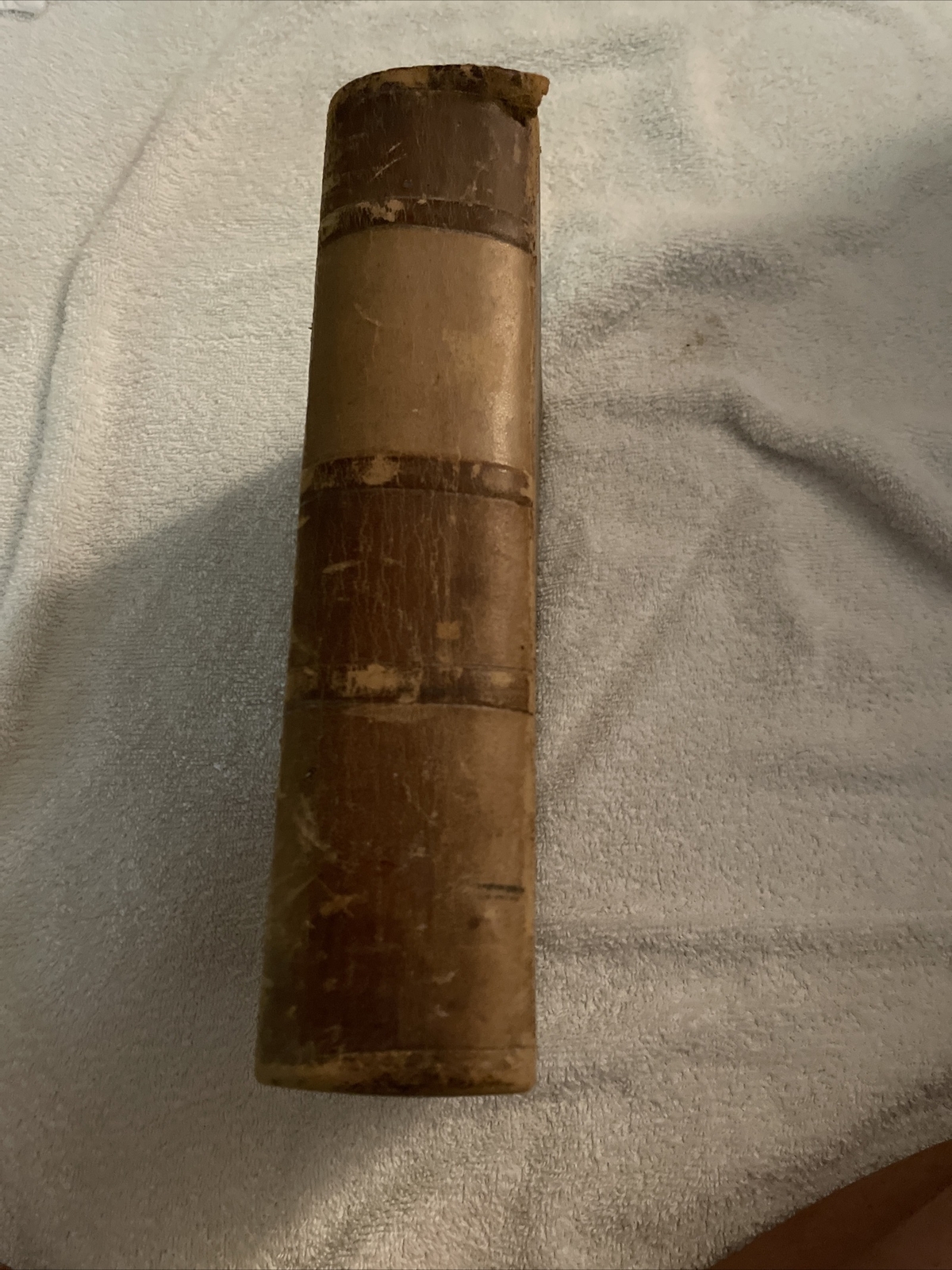 Gray’s Anatomy Descriptive And Surgical (1887)