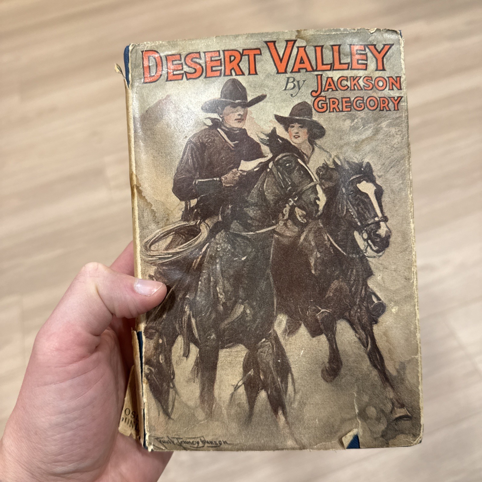 Desert Valley by Jackson Gregory 1921 Frank T. Johnson Cover Art Dust Jacket