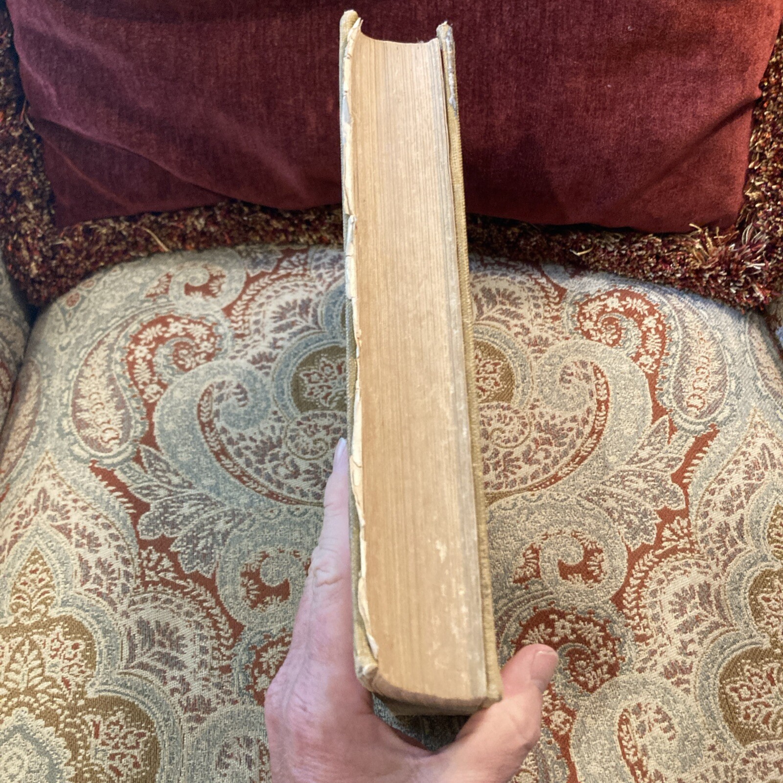 The Children‘s Book