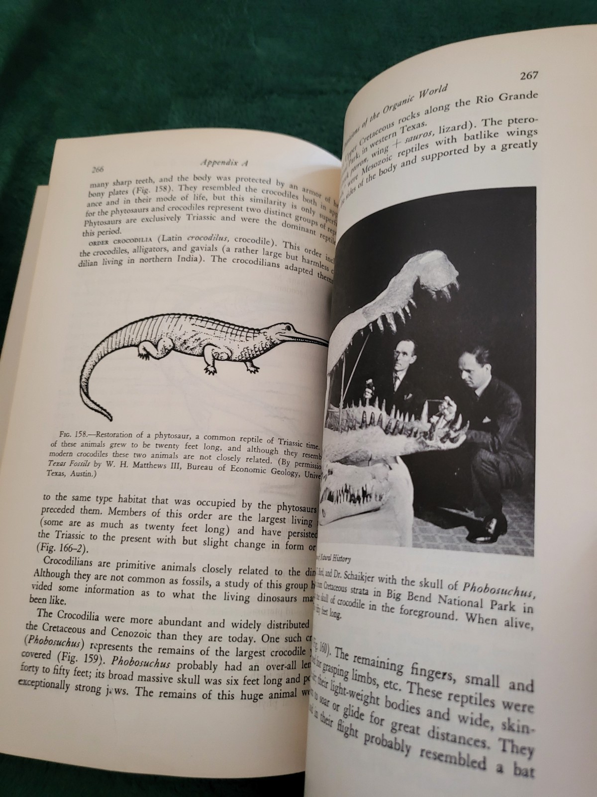 Fossils An Introduction to Prehistoric Life William H. Matthews Vintage PB Every