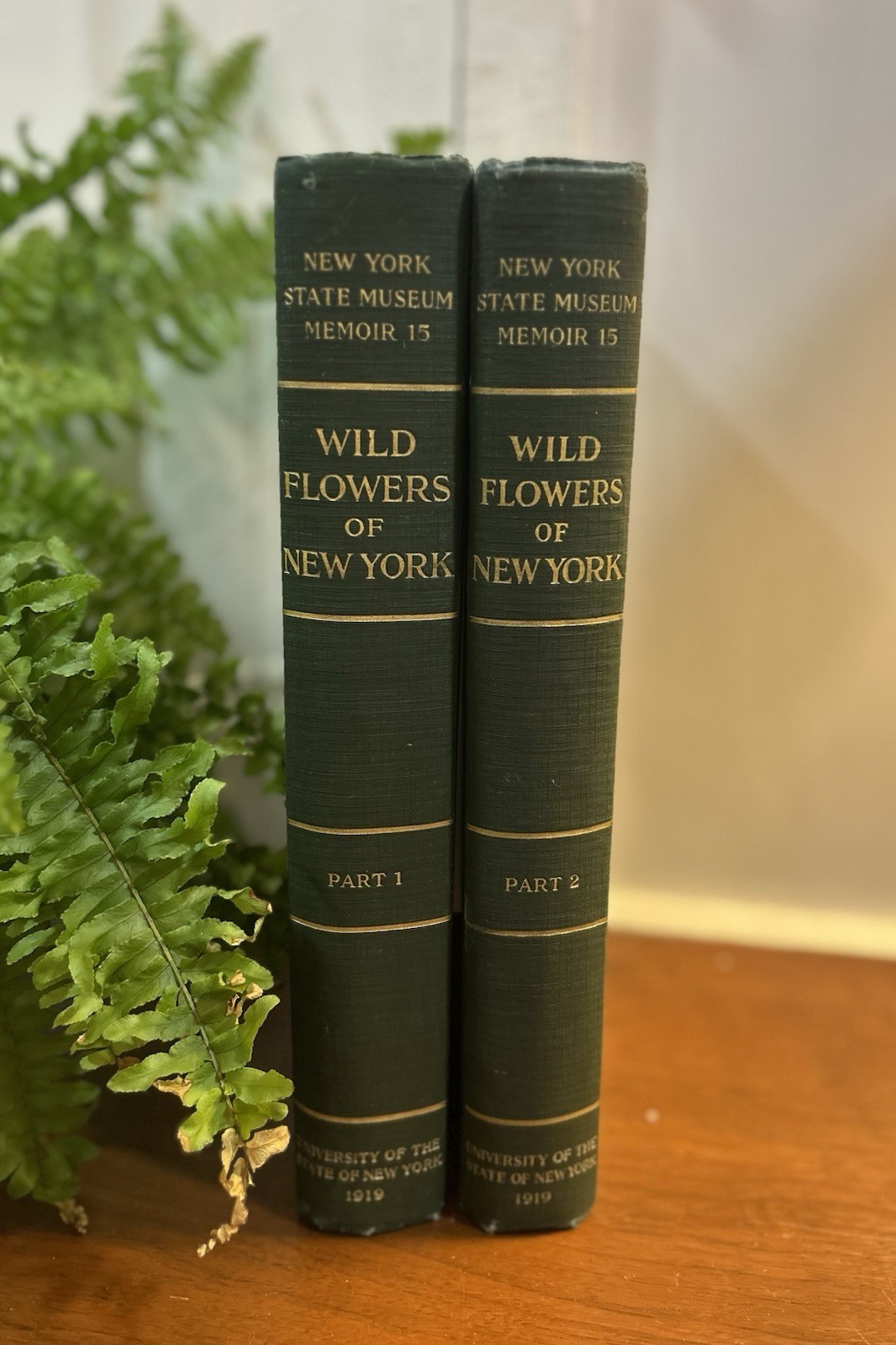 Antique NY Farming Book Wild Flowers of New York Agriculture w/Color Plates 1919