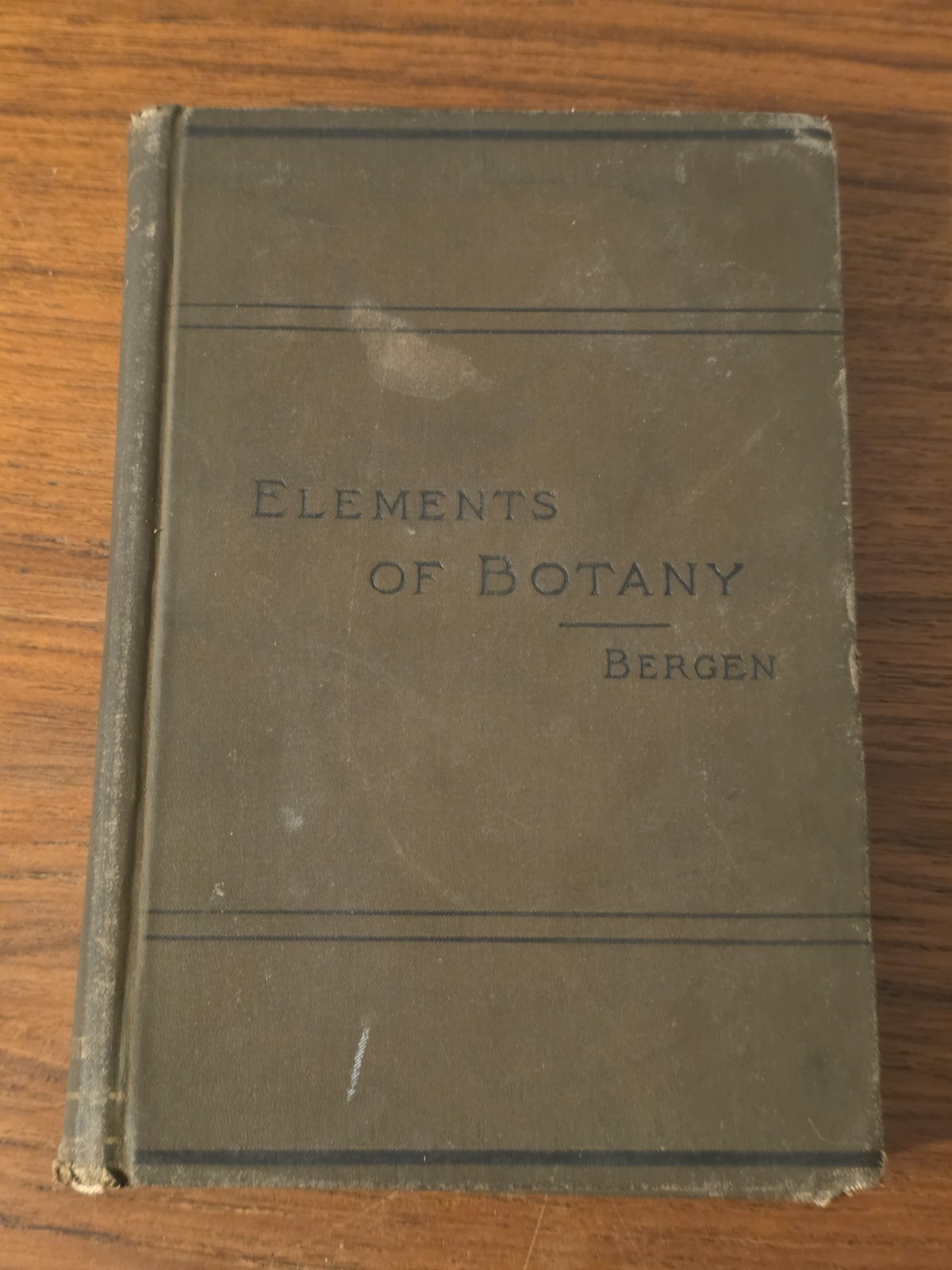 ELEMENTS OF BOTANY by J. Y. Bergen 1898
