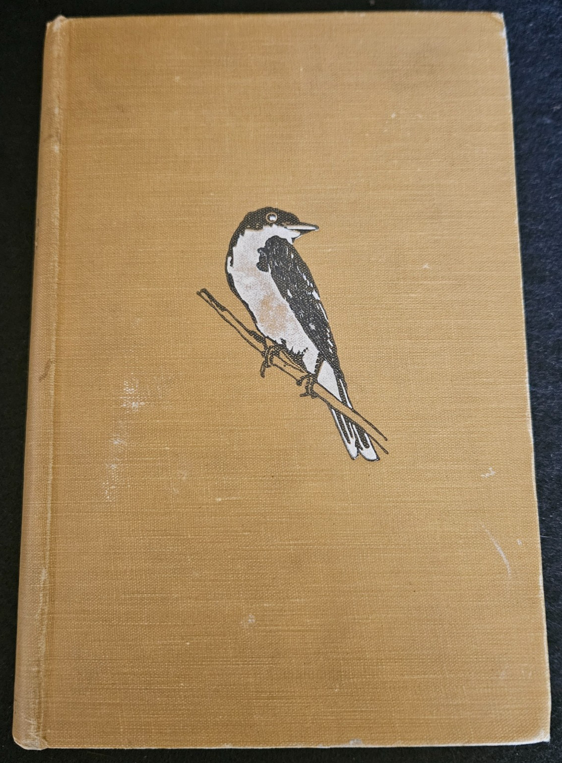 Antique Birds In Their Relation To Man HC 1924, Clarence Weed & Ned Dearborn