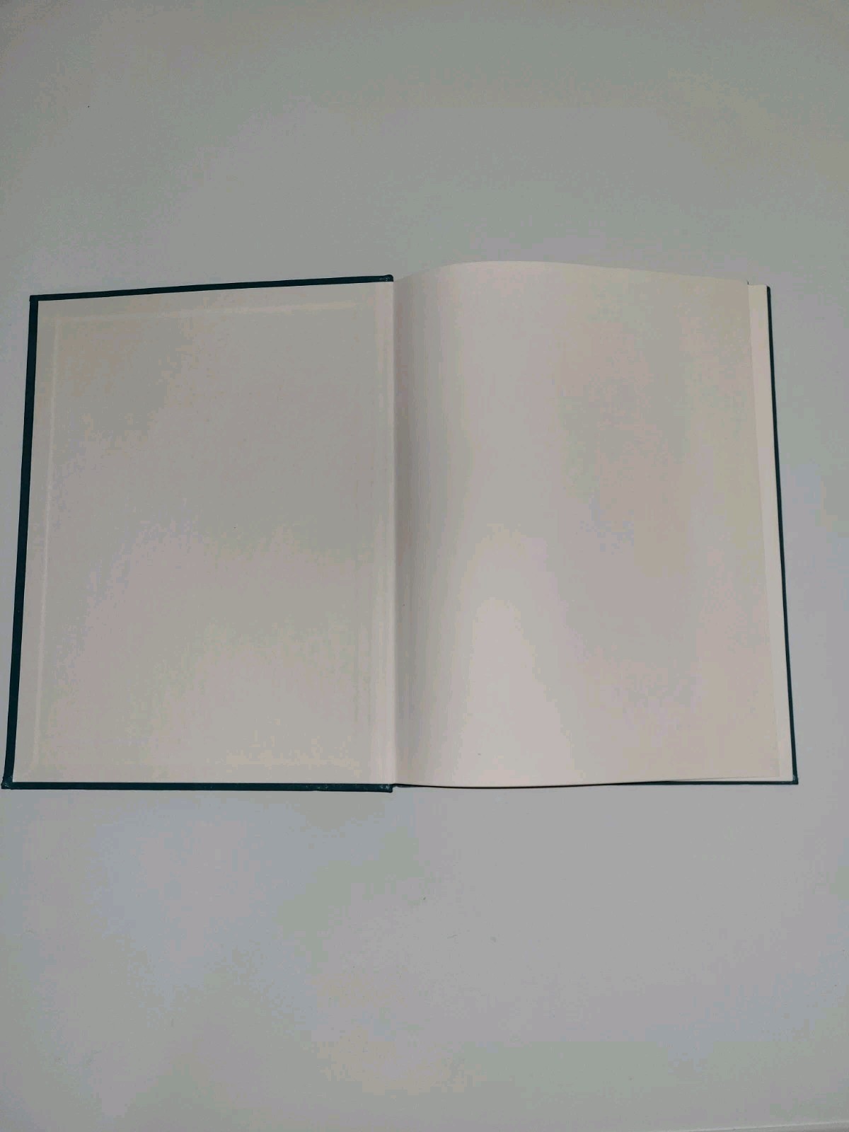 Shining As Illuminators In The World 2010 Edition Watchtower Pioneer Book