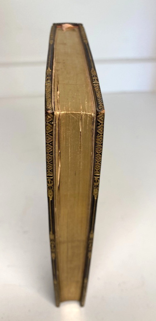 1838 Cathedral Romantic Fine Binding Morocco Silk Doublures Gold Silver WESSEL