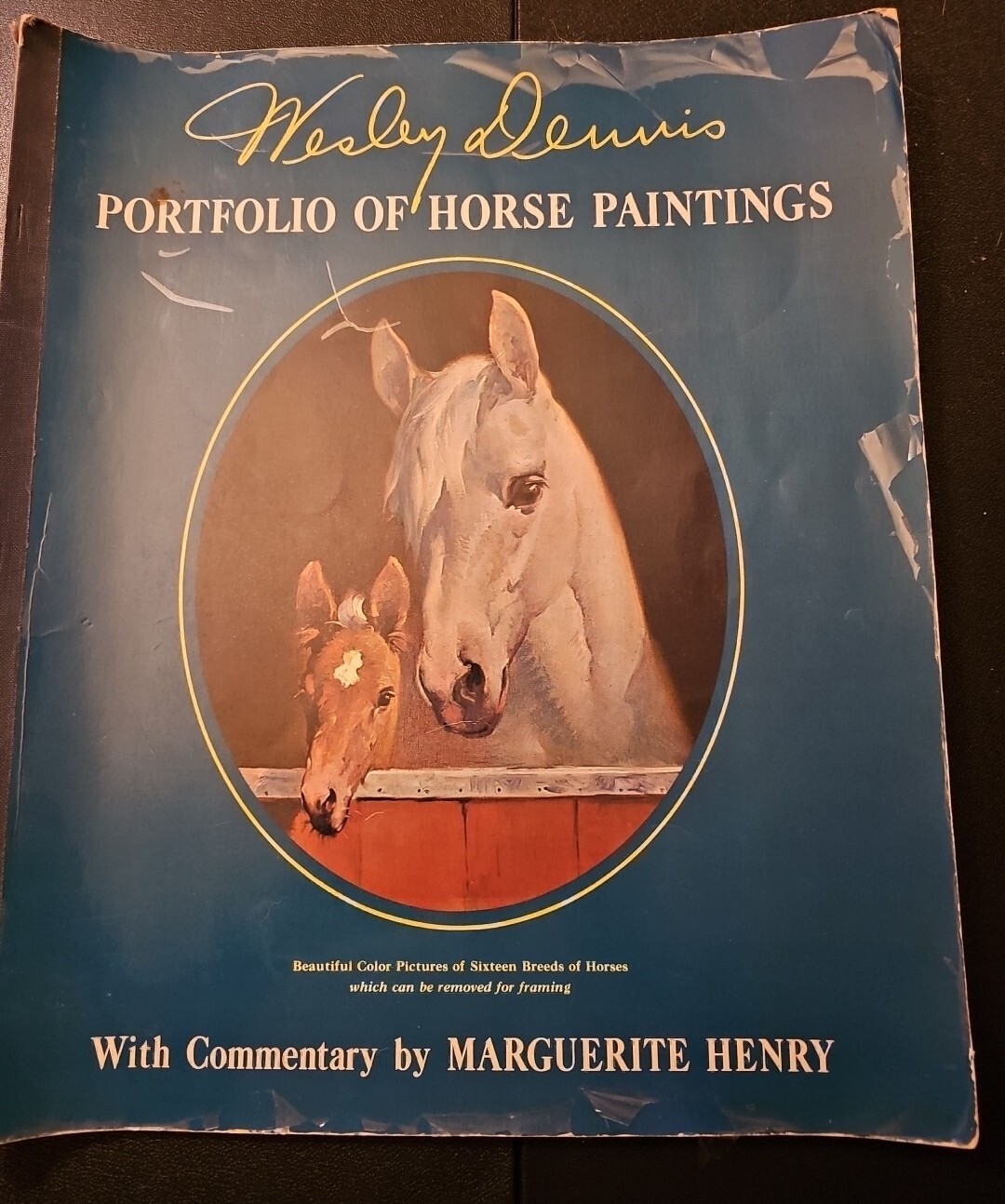 Portfolio of Horses Paintings Wesley Dennis Marguerite Henry Prints for Framing