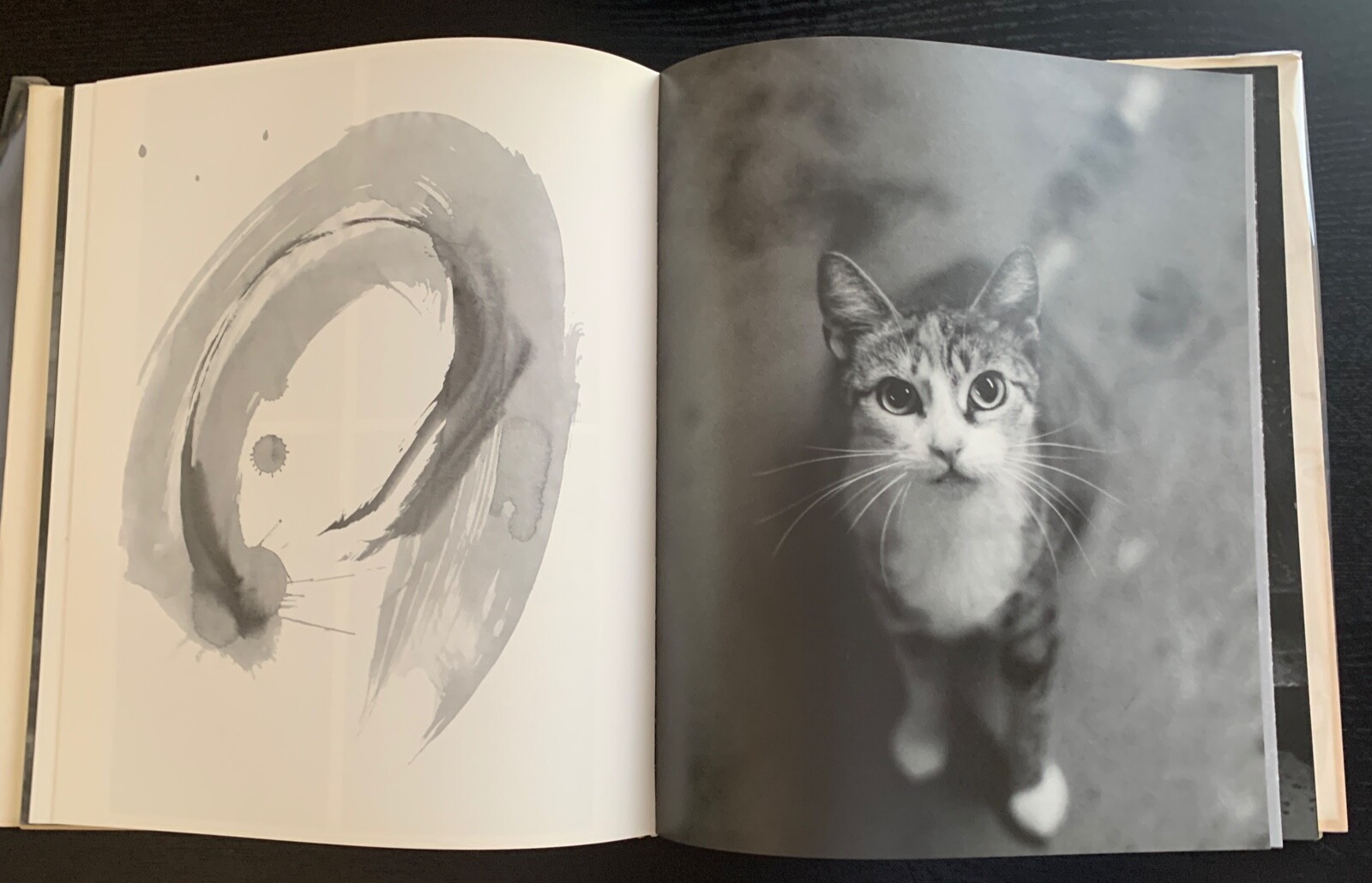CATS / NECO – YUICHI HIBI – 1ST ED. – SIGNED – #230/500 – 2008 – NAZRAELI PRESS.