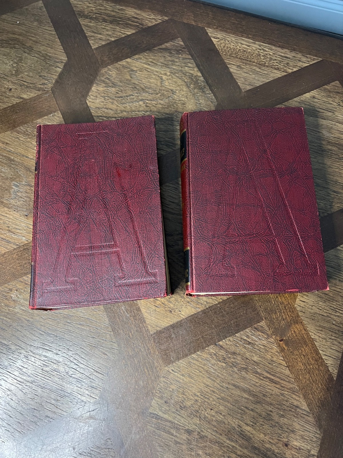 AUDELS DO-IT-YOURSELF Encyclopedia 2 Volume Set Hardbound Home Improvement 1960