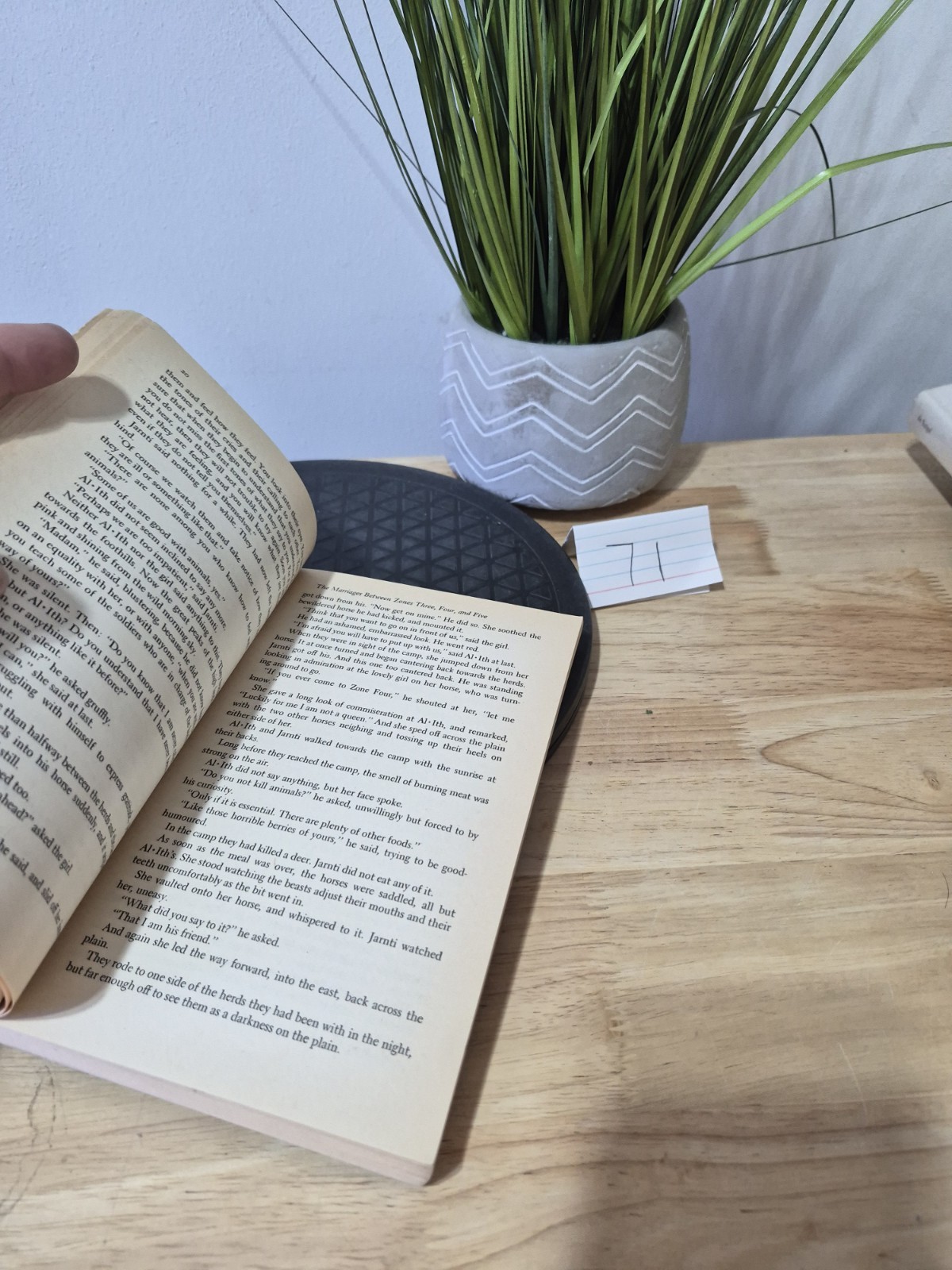 1981 The Marriages between Zones Three, Four, and Five by Doris Lessing