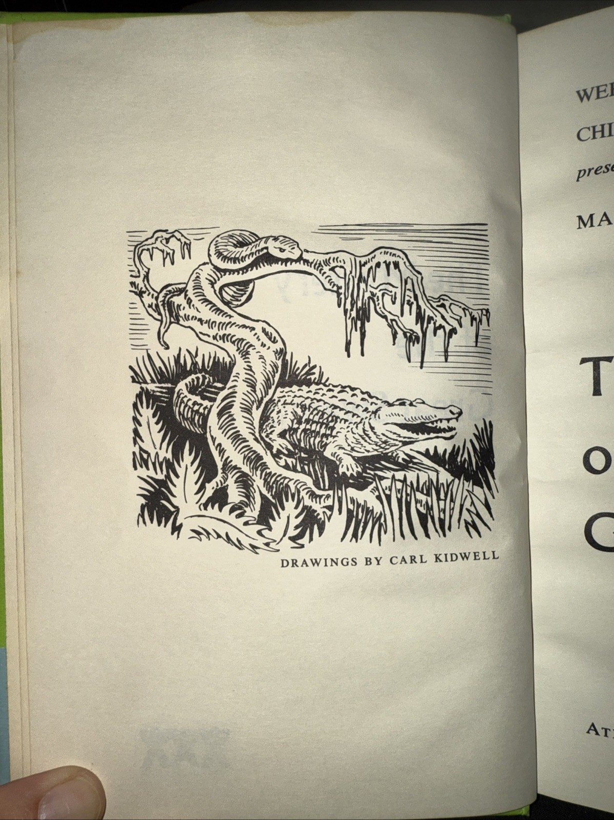 The Mystery Of The Great Swamp – Marjorie A. Zapf (1967 Hardcover)