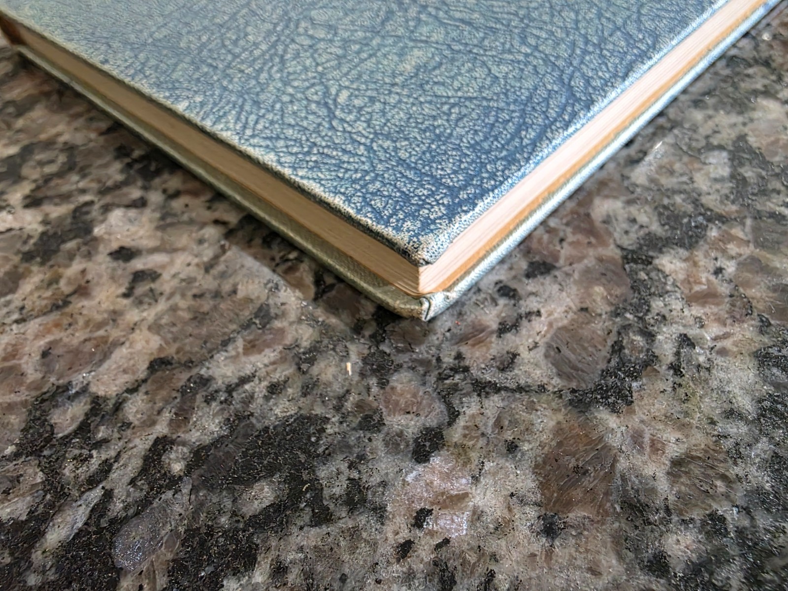 1933 Century of Progress Official Guide Book Of the Fair Chicago World’s Fair LB
