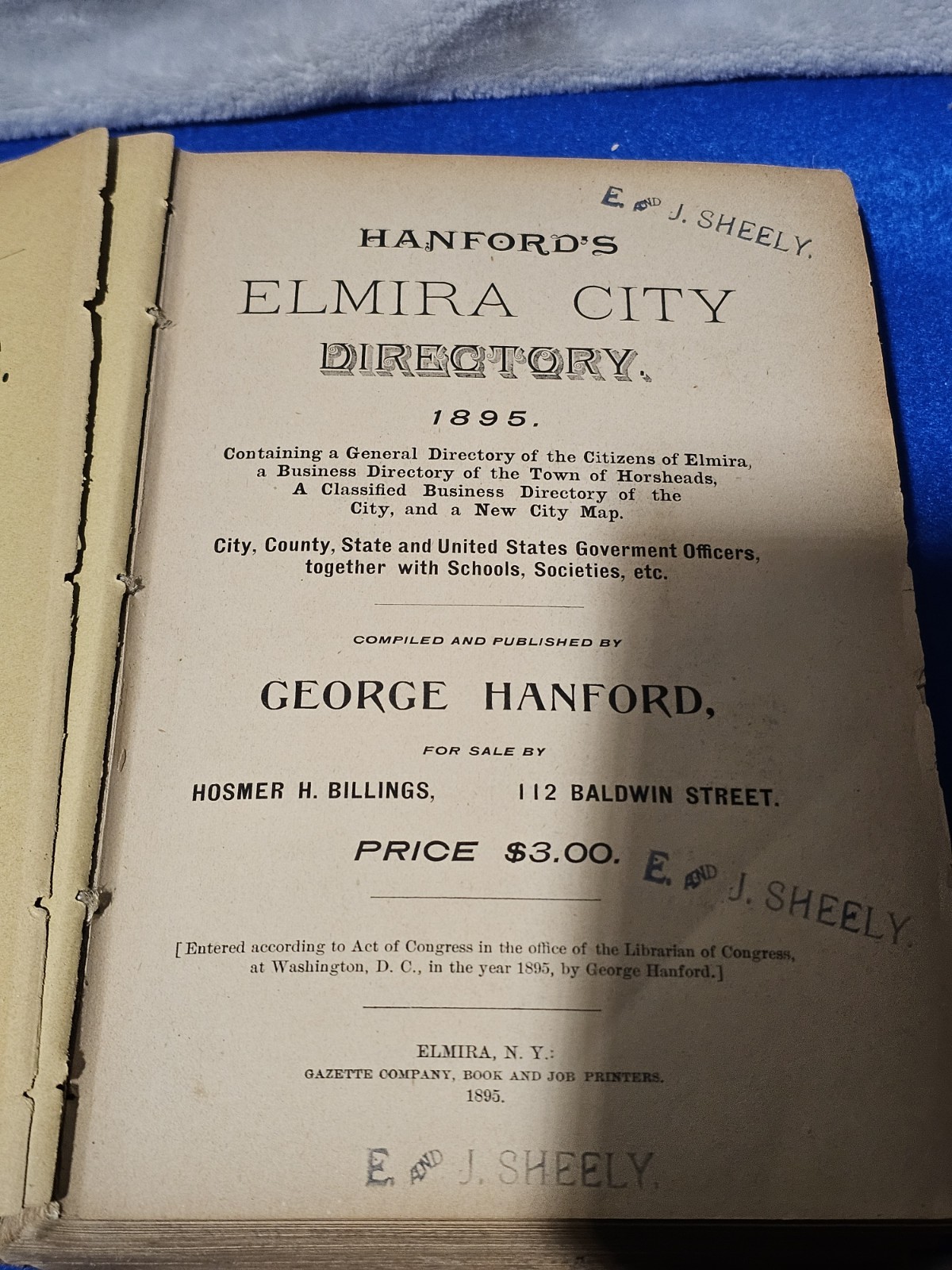 Antique 1895 Elmira NY City Directory Hanford Genealogy Business Ads New York