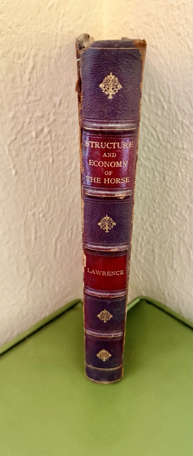 Structure & Animal Economy of The Horse By Lawrence 1800s Rare Equestrian Book