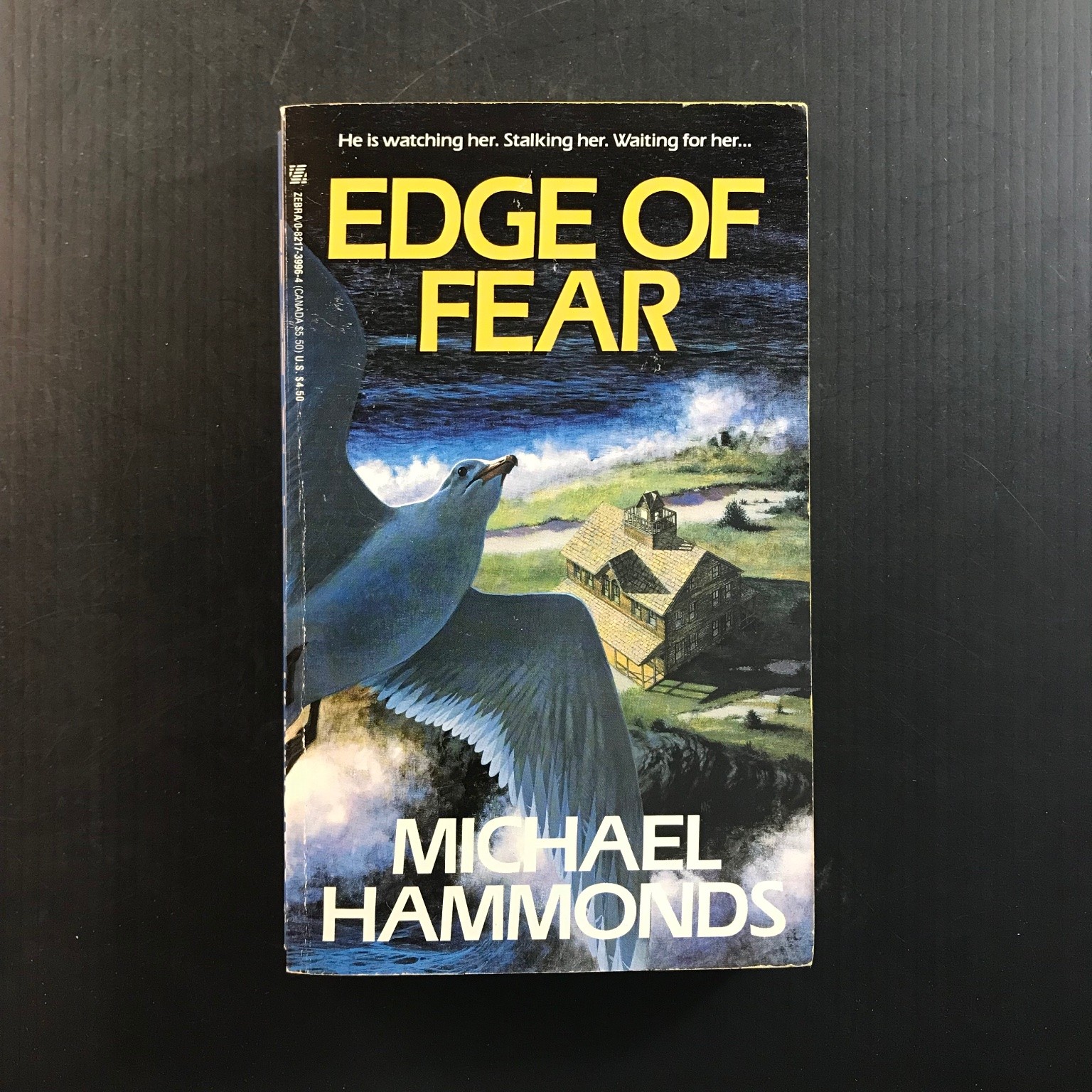 Edge of Fear Michael Hammonds 1st Printing 1992 Thriller Suspense