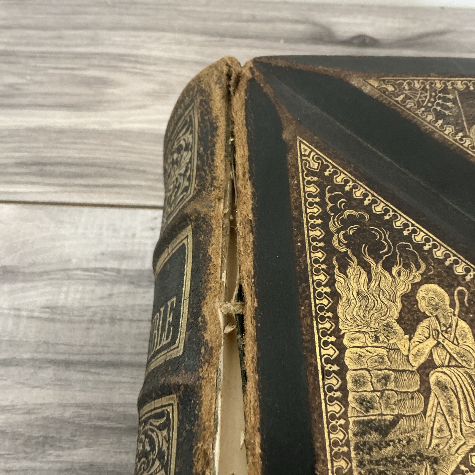 The Parallel Bible Old & New Testaments 2000 Illustrations 1885