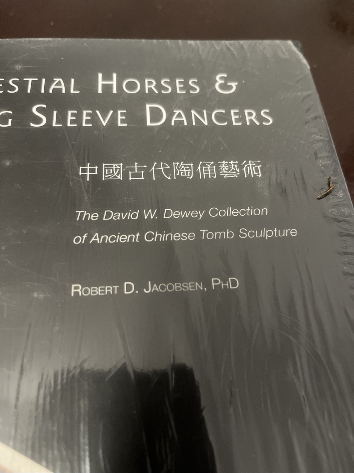 Robert D Jacobsen / Celestial horses & long sleeve dancers David W Dewey NEW