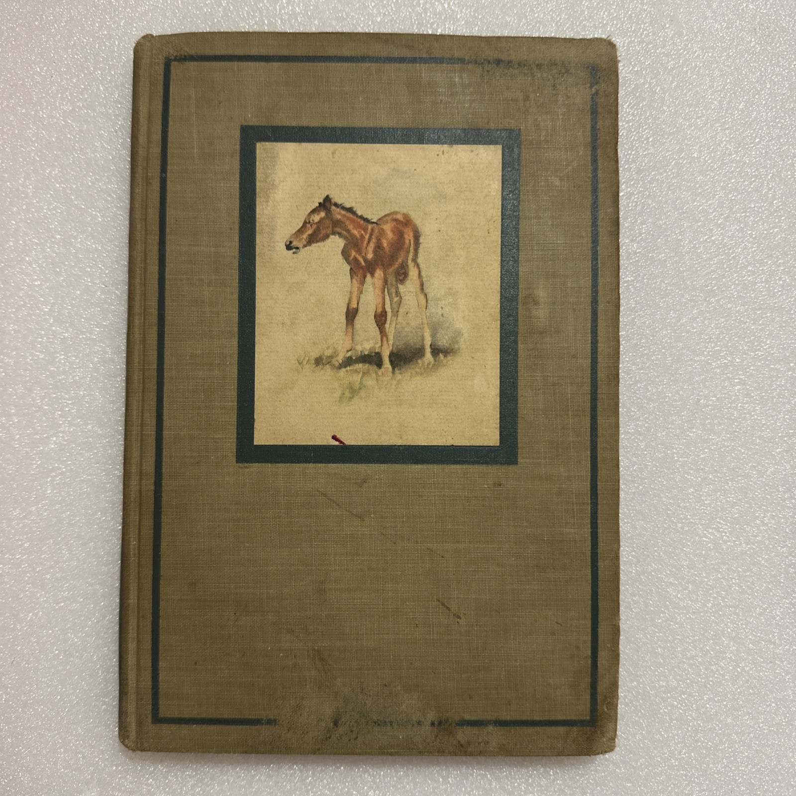 The Red Pony by John Steinbeck ~ First Illustrated Edition 1945