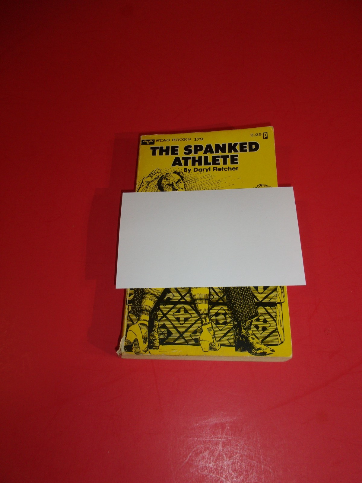 VINTAGE 1976 EROTICA, SMUT, SLEAZE PAPERBACK BOOK, 192 PAGES