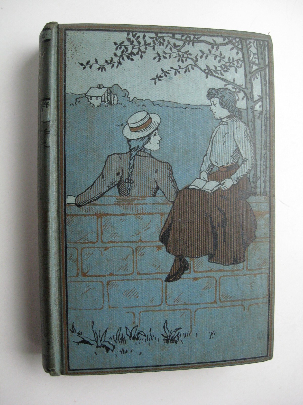 CHRONICLES OF THE SCHÖNBERG-COTTA FAMILY ~ Mrs. Andrew Charles HC circa 1900 -N1