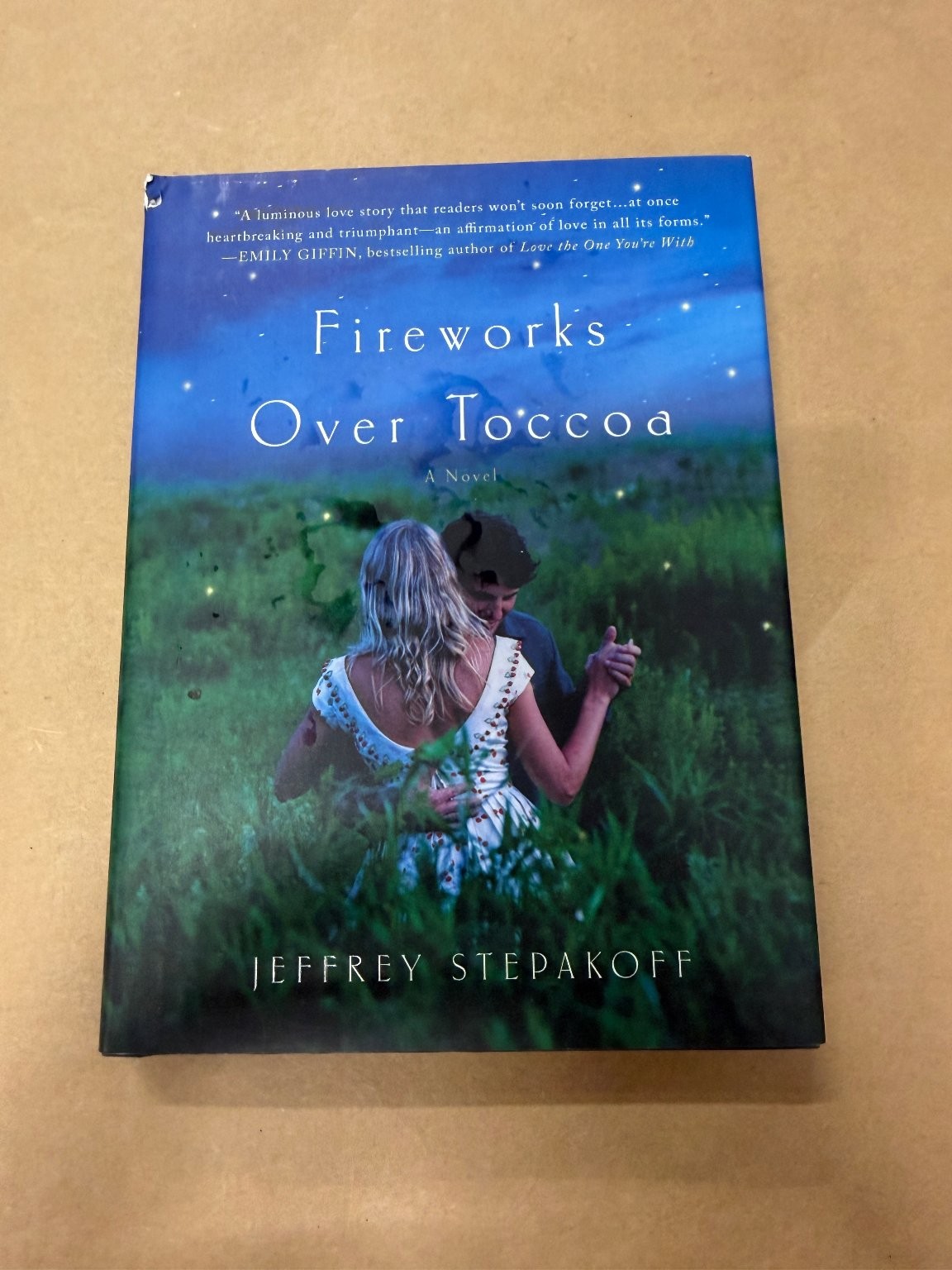 Fireworks Over Toccoa Jeffrey Stepakoff Novel 2011 Hardcover Fiction
