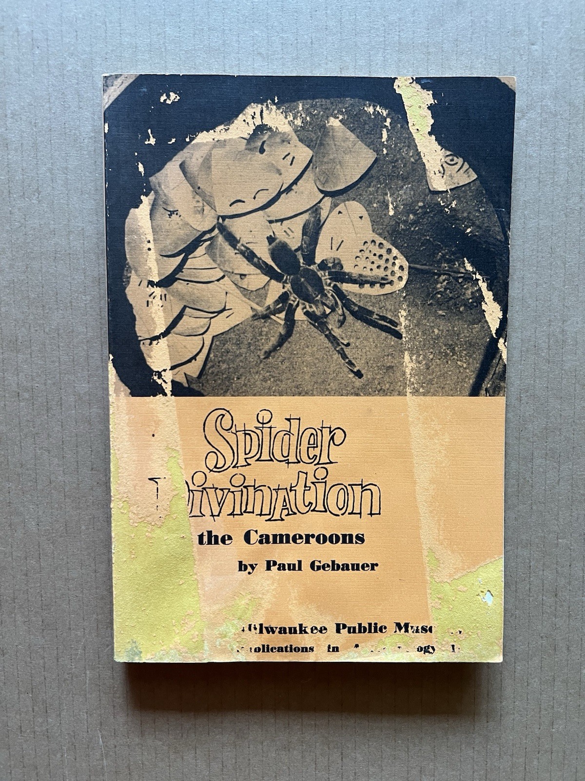 Spider Divination in the Cameroons · Paul Gebauer · 1964 · Anthropology
