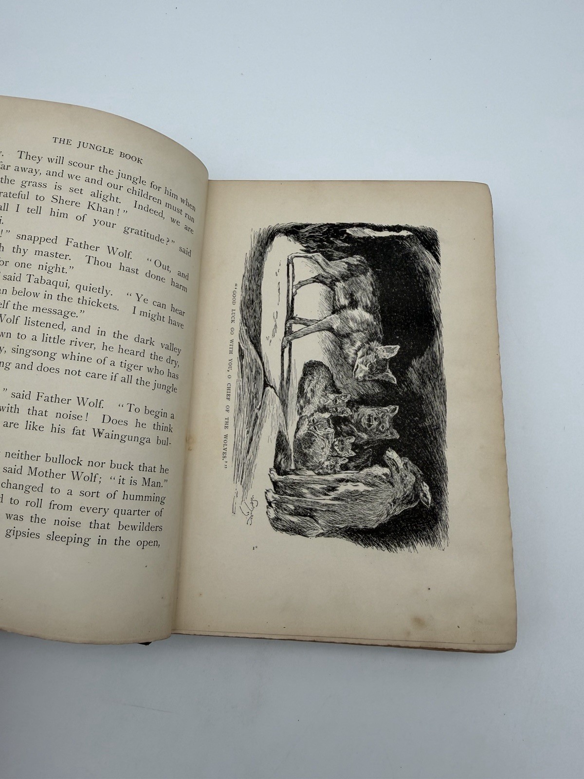 1897 The Jungle Book Rudyard Kipling Century Co 35th Thousand Illustrated