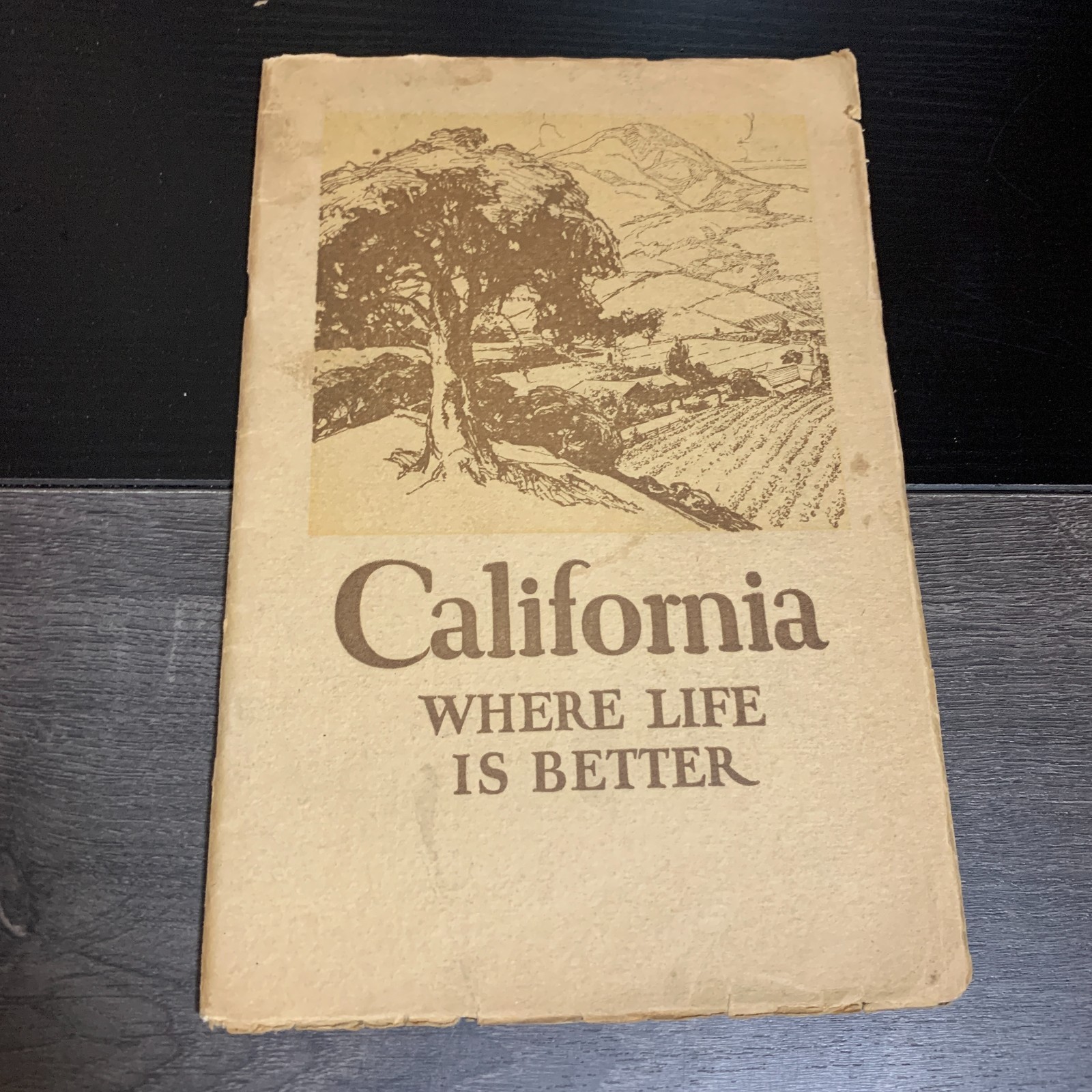 California Where Life Is Better 1923 Californians Inc. Paperback Illustrated