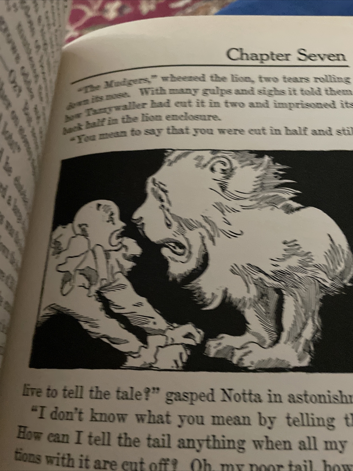 The COWARDLY LION of OZ – Vintage Hardback Book – Ruth Plumly Thompson ©1923/134