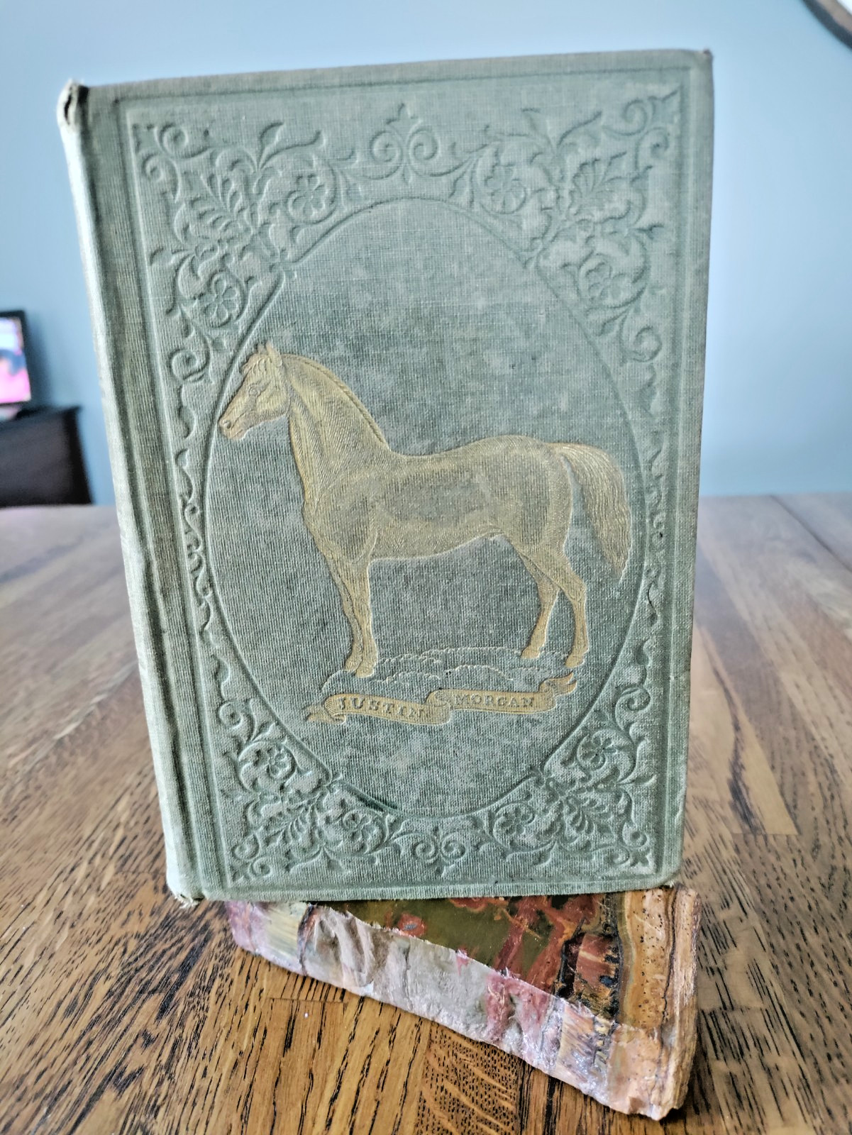 1857 Morgan Horses D.C.Linsley 1st Ed ‚Justin Morgan‘ Vermont Horse History VG