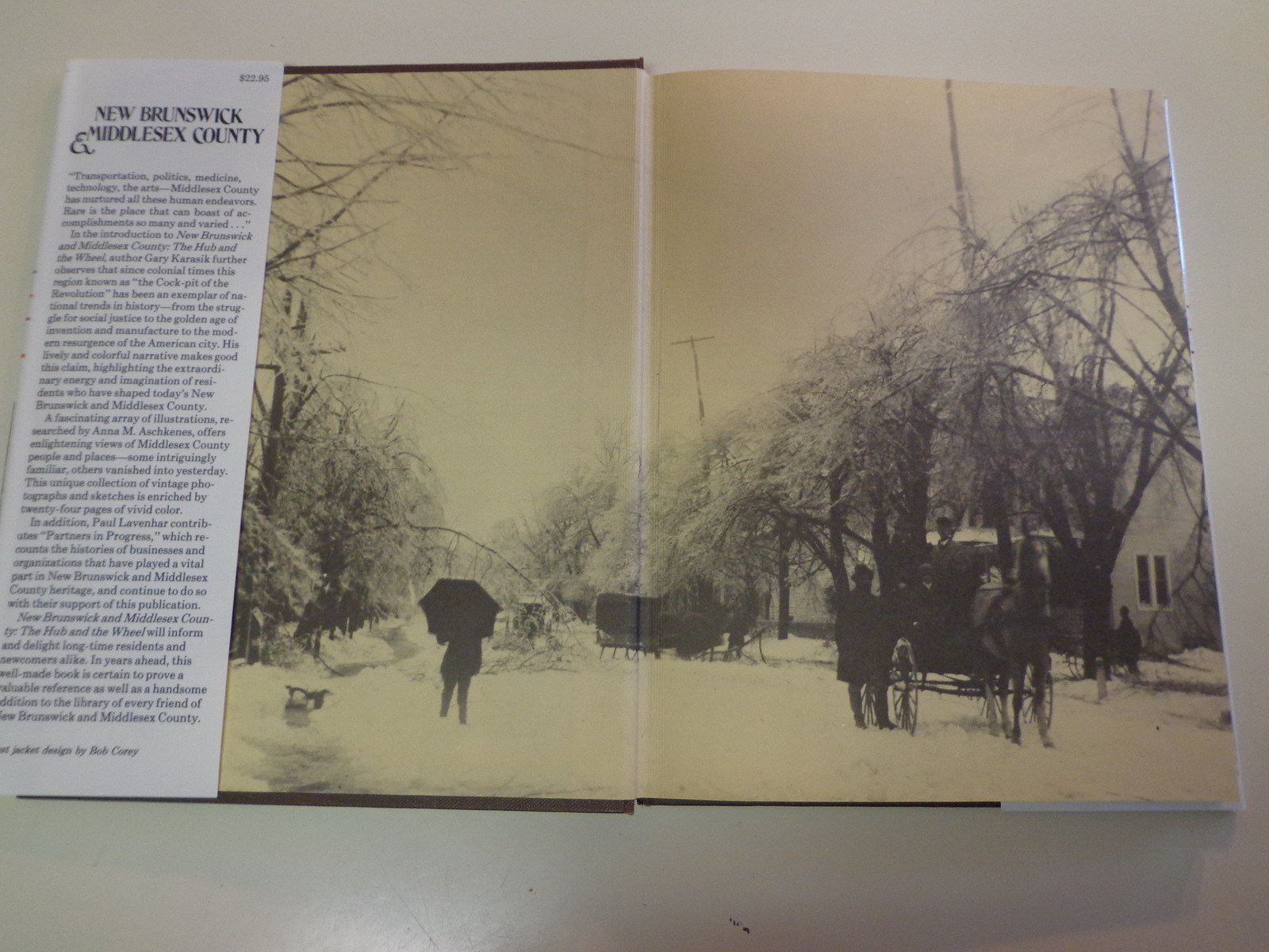 New Brunswick & Middlesex County 1986 New Jersey Local History Edison Woodbridge