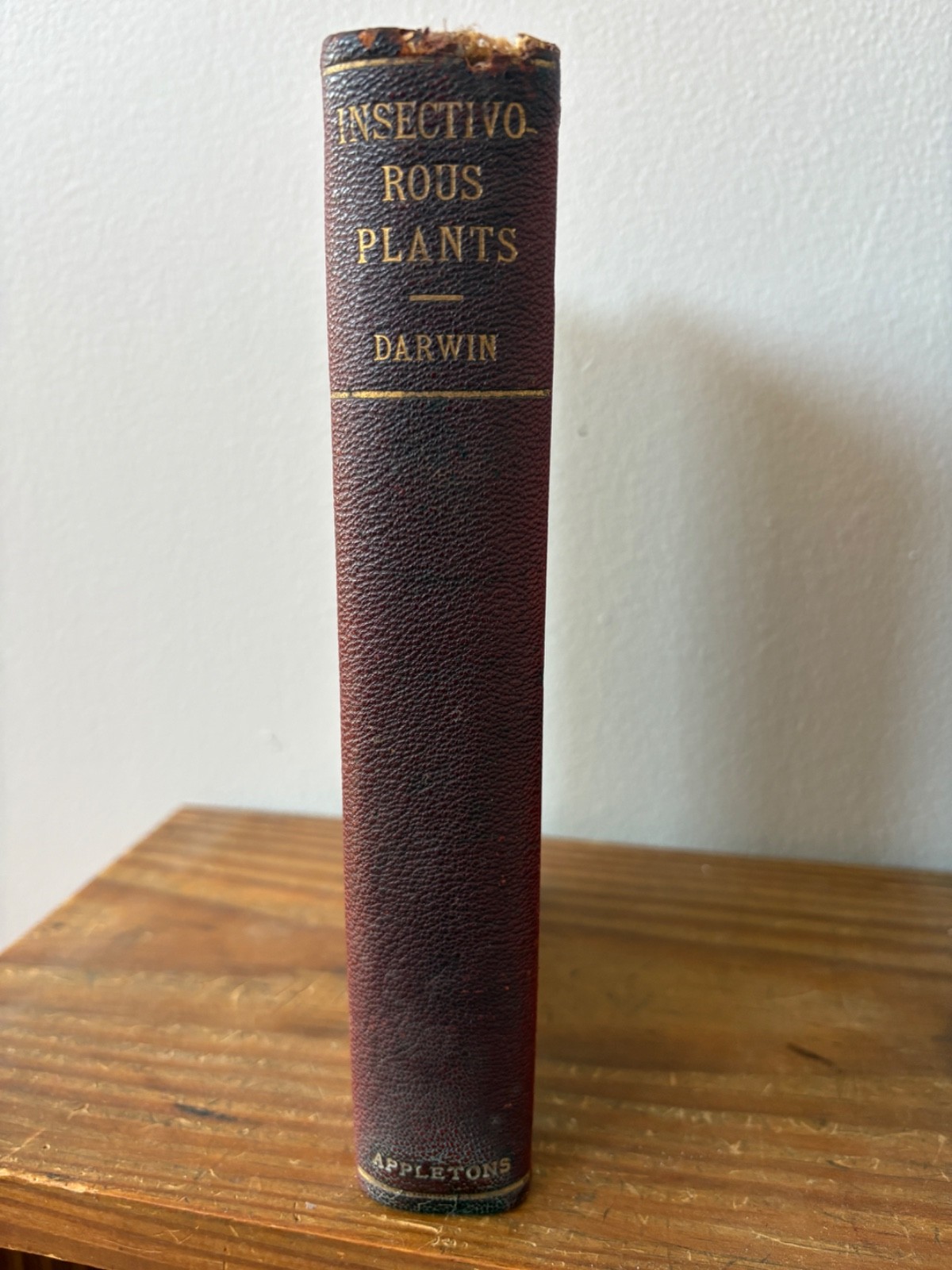 Charles Darwin Insectivorous Plants 1896 D. Appleton Illustrated Antique Book
