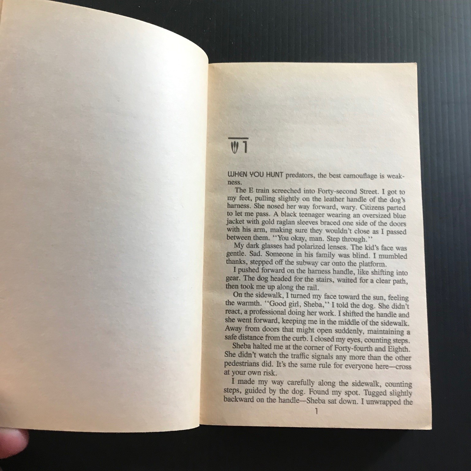 Sacrifice Andrew Vachss First Ballantine Edition 1992 Crime Thriller Novel