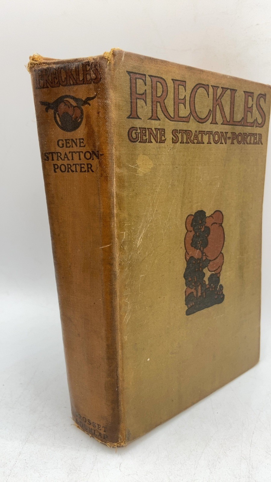 Freckles Gene Stratton-Porter Hardcover 1904
