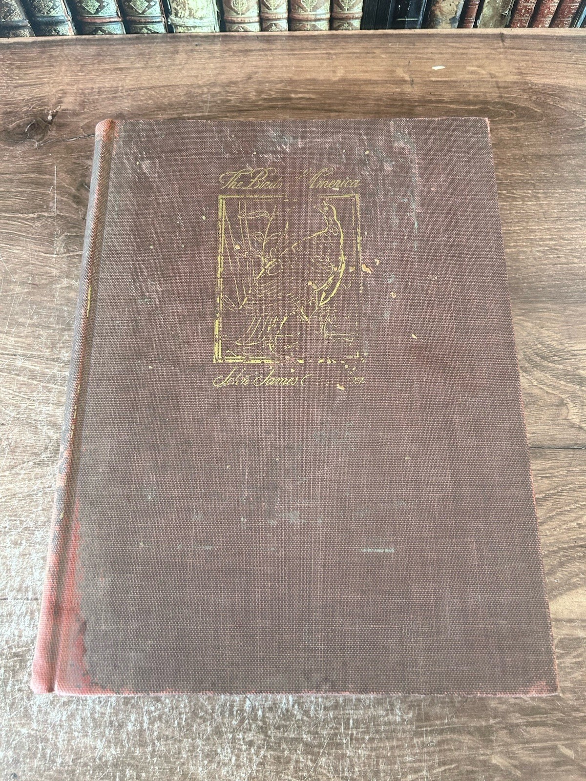 The Birds of America by John James Audubon, 1942 Color Illustrations Hardcover