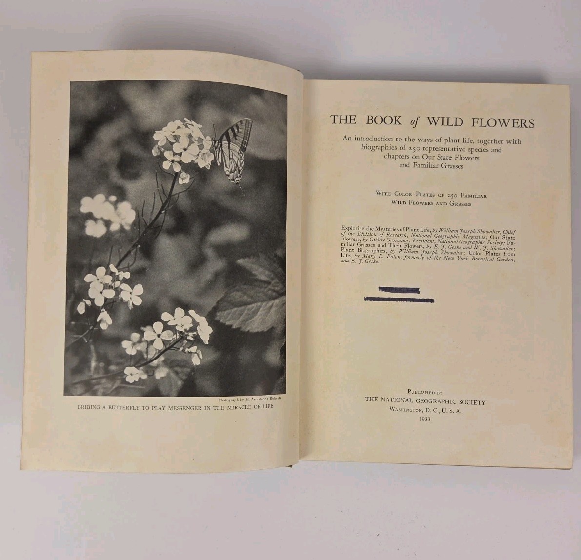 The Book of Wild Flowers (Hardcover) by William Joseph Showalter 1933