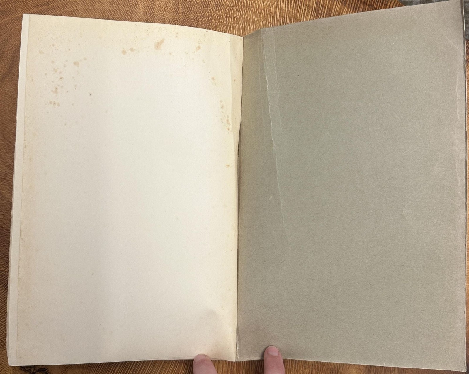 Ernest Wickersheimer / Dictionnaire Biographique des Médecins en France au 1st