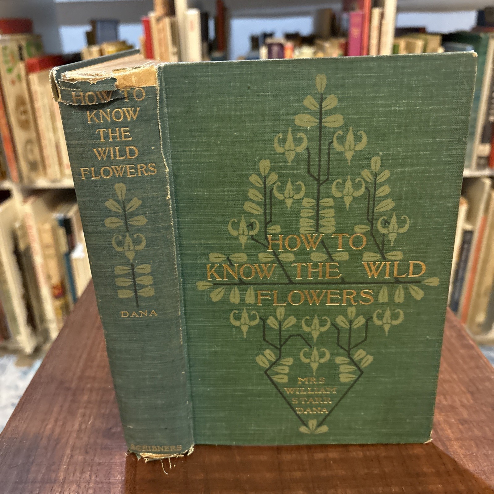 How to Know the Wild Flowers Guide by Mrs. William Starr Dana Scribner’s Antique