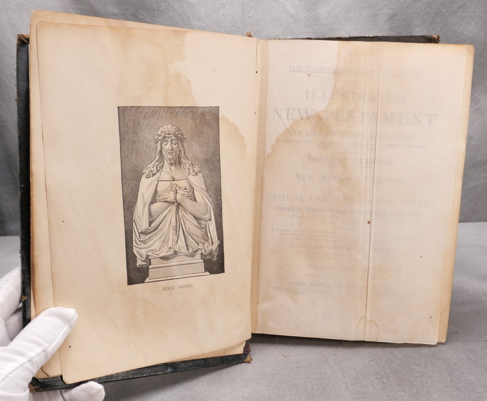 The Illustrated New Testament – Browning & Co. – FIRST US EDITION – 1881
