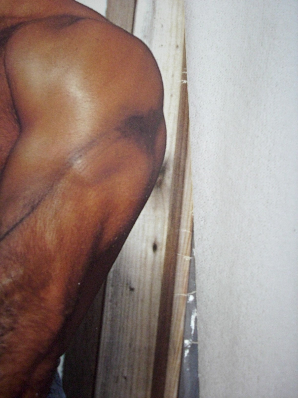 Gay Male Nudes Colt Studio 1993 The Hairy Chested Man Magazine #17