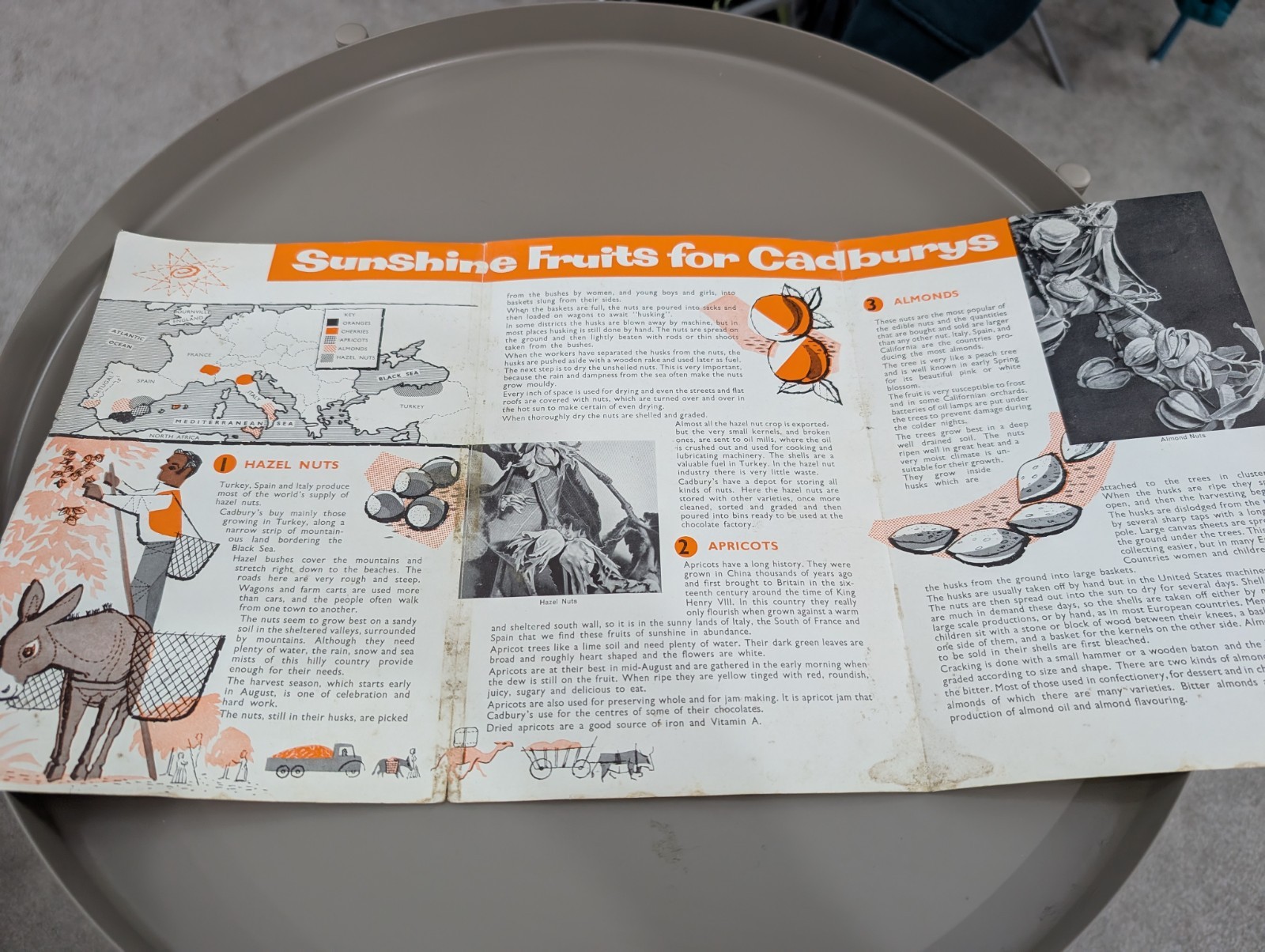 1960s Vintage Mediterranean Harvest Bournville Cadbury Schools Department