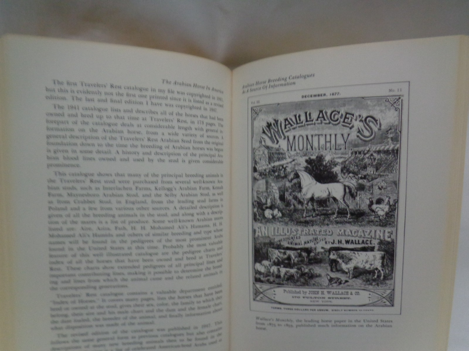 1st Arco Printing Arabian Horse in America History Conn Original Dustcover