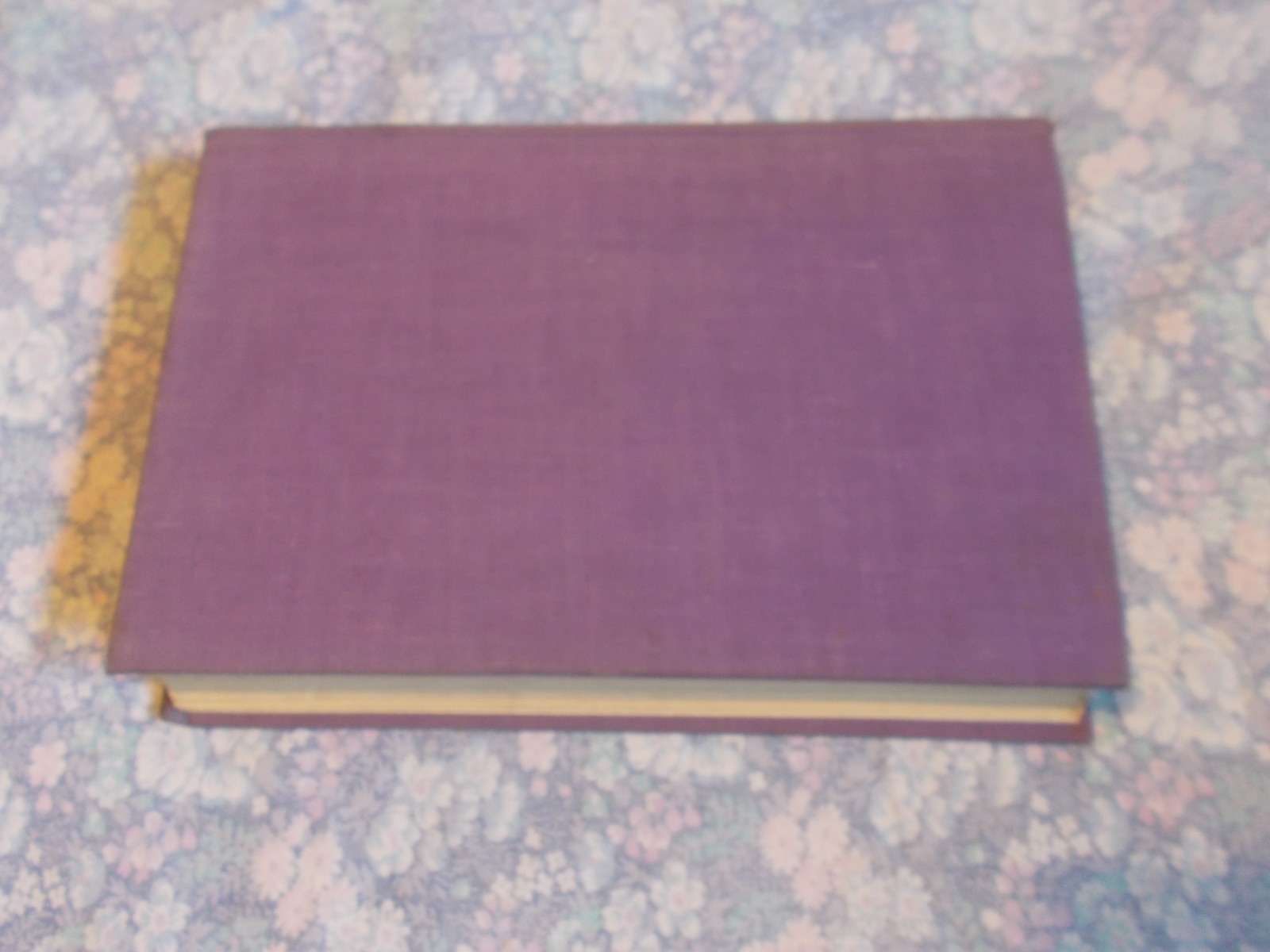 Lady Carter A LIVING SOUL IN HOLLOWAY 1938 1st ed women’s prisons welfare RARE