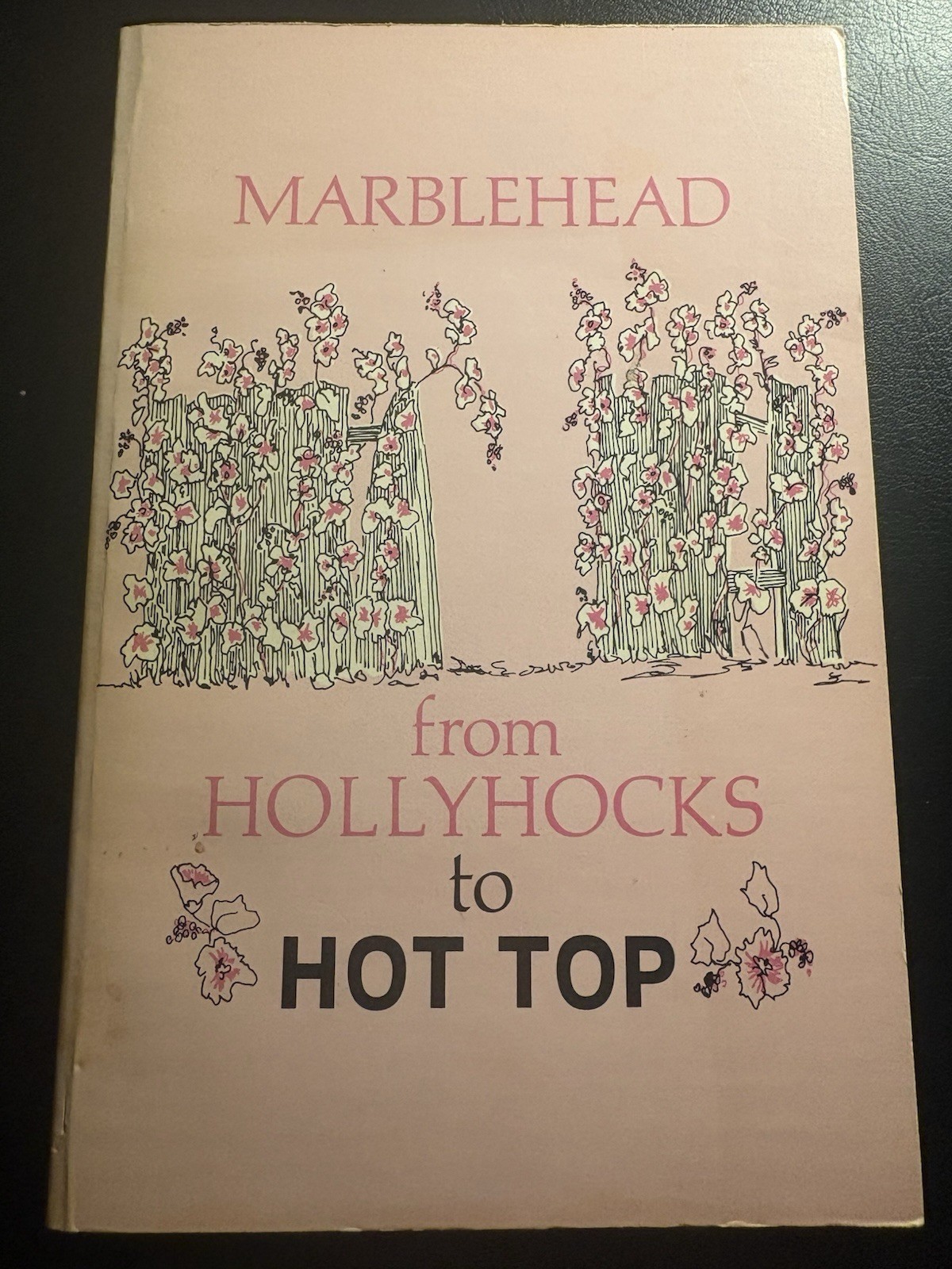 Marblehead From Hollyhocks to Hot Top MA Local History 1977 Photos genealogy