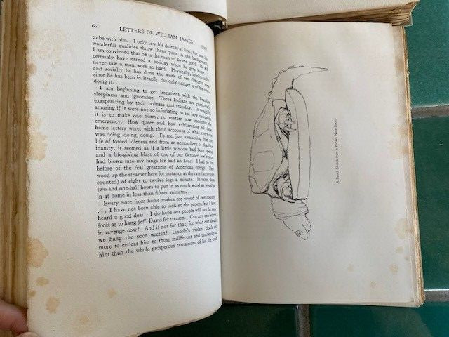 The Letters of William James vol. 1, 2 Limited Edition 1920 HCs Atlantic Monthly