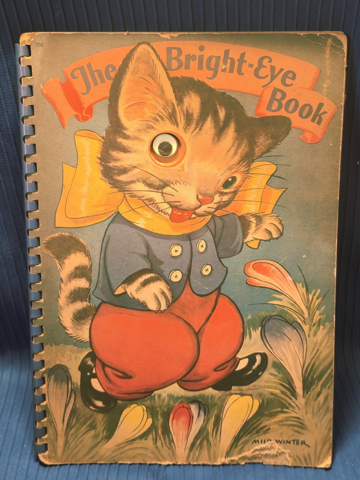 „The Bright-Eye Book Hardcover Book, Vtg. 1941, By: Marjorie Barrows/Milo Winter