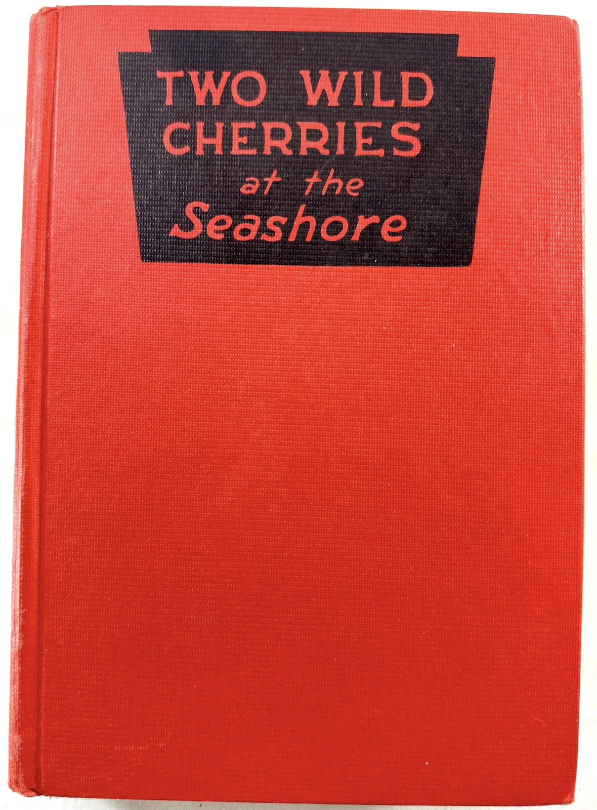 Two Wild Cherries At The Seashore by Howard R. Garis Circa 1925 Hardcover