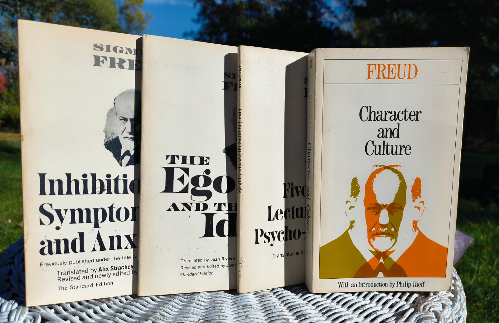 Sigmund Freud Psychology Book Set 1959 Vintage Paperback Norton Macmillan